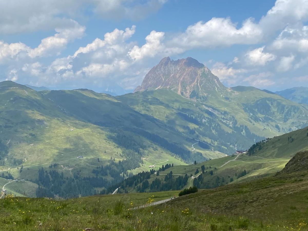 Neukirchen am GroßvenedigerPenthaus Kitzebueheler Alpenアパートメント エクステリア 写真